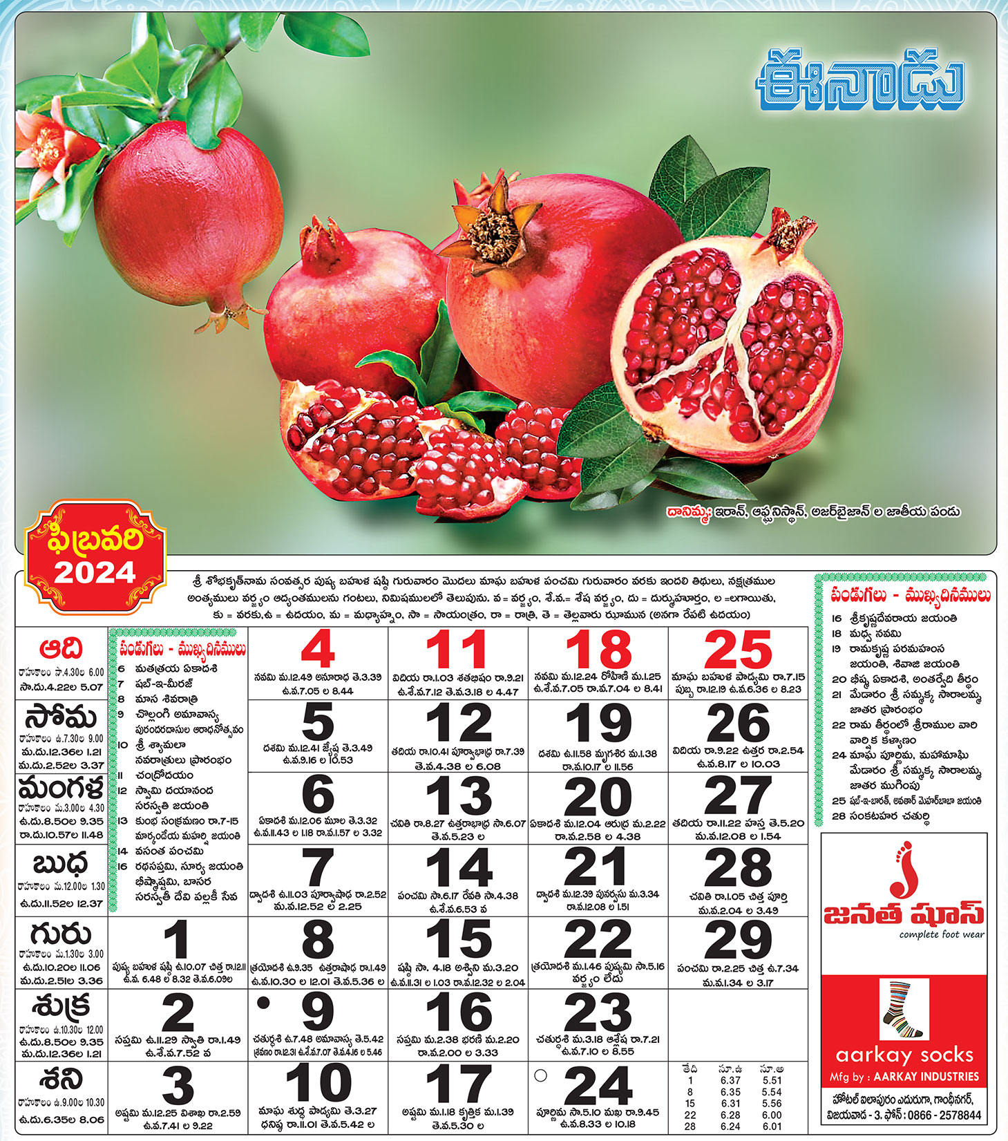 Eenadu Telugu Calendar 2024 ambur giulietta