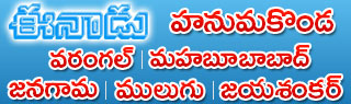 warangal-logo.jpg