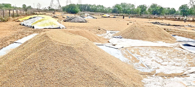 ధాన్యం కొనుగోలు కేంద్రాలు ఏర్పాటయ్యేదెప్పుడో? | general