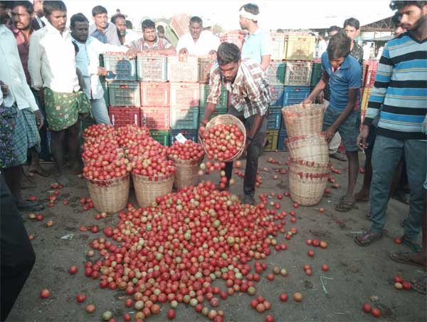 అయ్యో రైతన్నా.. మరీ ఇంత దైన్యమా?