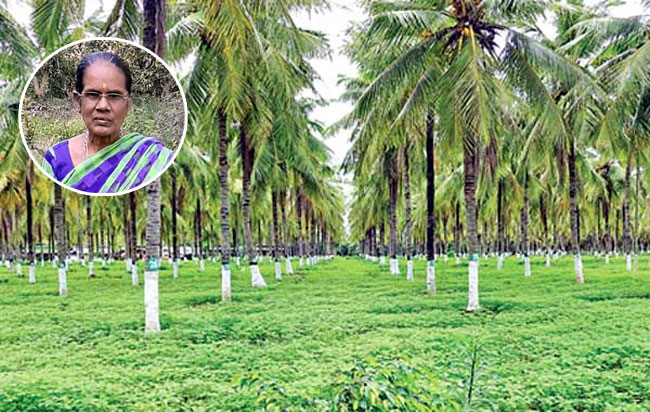 Padma Awards: పద్మశ్రీకి ఎంపికయ్యానంటే నమ్మలేక పోయా: నారియళ్‌ అమ్మ | meet kamachi  chellammal andaman nariyal amma chosen for padma shri for organic coconut  farming