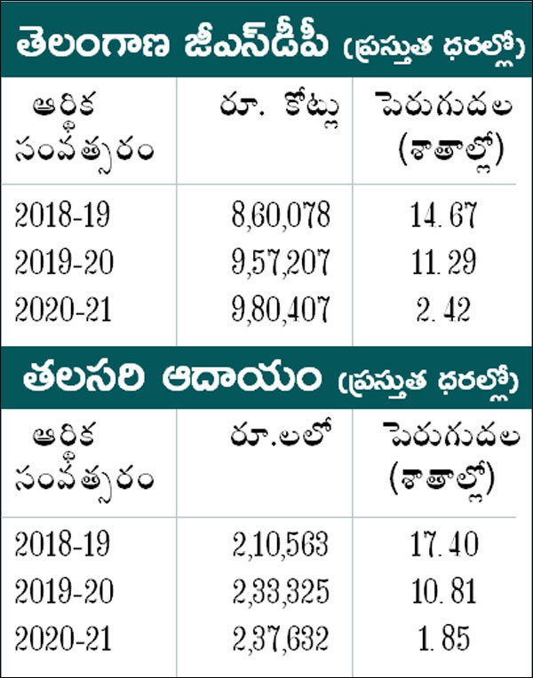 కరోనా కాలంలోనూ వృద్ధి