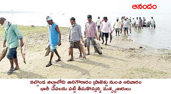 చేపలు గుట్టలు గుట్టలు.. జనం బారులు బారులు