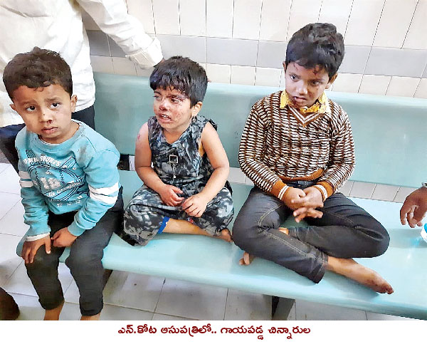 అరకు ఘాట్‌ రోడ్డులో ఘోర ప్రమాదం