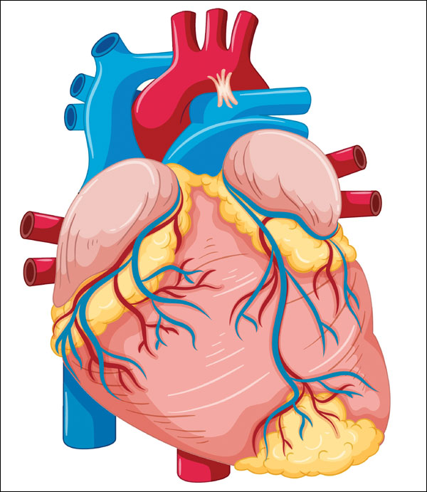 గుండెలయ గమనించండయా!