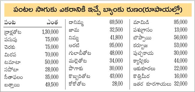 వరికి రుణపరిమితే