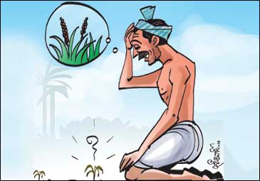 రైతుకు నకిలీల శరాఘాతం