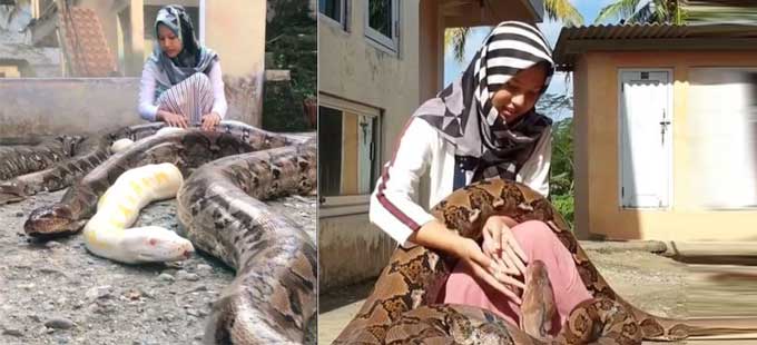 ఓ బాలిక.. ఆరు కొండచిలువలు | 14year-old-girl-has-six-pythons-as-pets