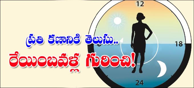 Immunity: ప్రతి కణానికీ తెలుసు.. రేయింబవళ్ల గురించి! - Vimarsana News