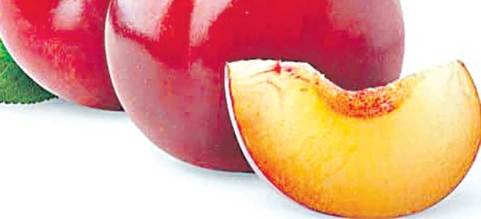 ఆరోగ్యాన్నిచ్చే ఆల్‌బుకారా! - Vimarsana News