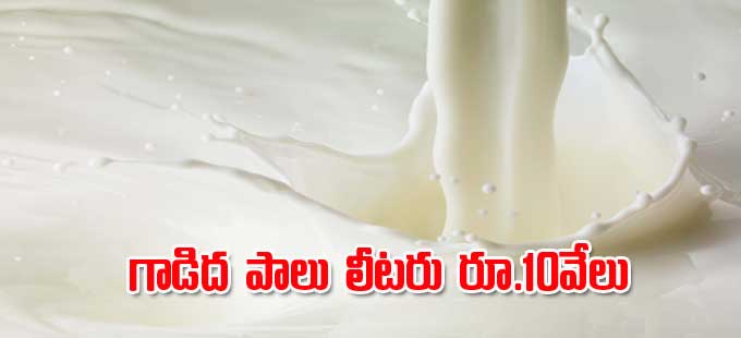 Donkey milk: గాడిద పాలు లీటరు రూ.10వేలు - Vimarsana News