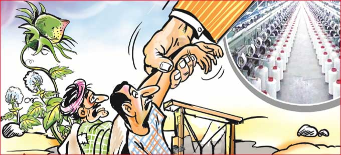 పత్తికి పరిశ్రమ తోడైతేనే భవిత - Vimarsana News