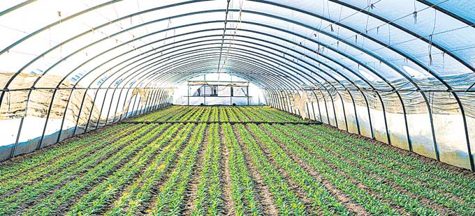 శ్రీలంక తప్పిదాలు భారత్‌కు పాఠాలు - Vimarsana News