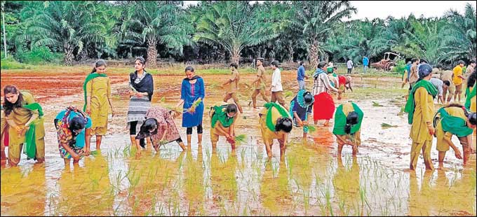 అక్కరకు రాని సాగు విధానాలు - Vimarsana News