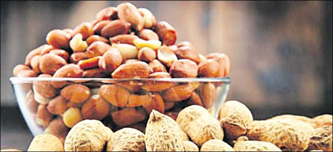 పల్లీలతో ఆందోళన మాయం! - Vimarsana News