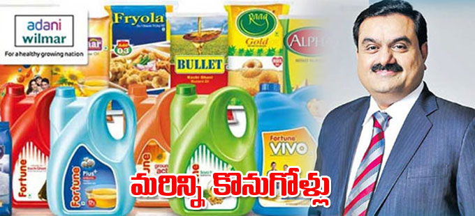 Adani Wilmar: మరిన్న