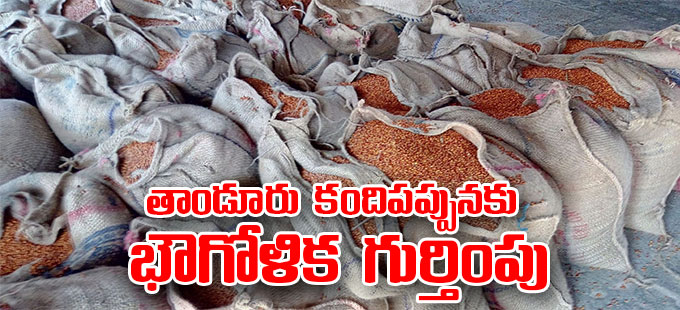 Tandur Redgram Telangana Tandur Redgram Get Gi Tag