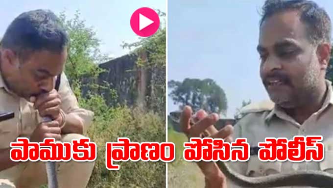 Viral Video: పాముకు ప్రాణం పోసిన పోలీస్‌ | General