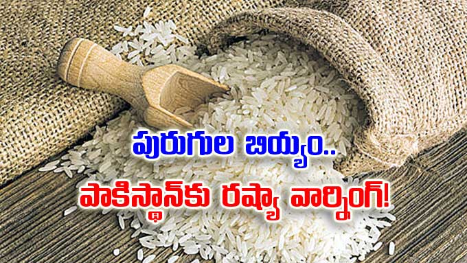 Pakistan Russia: పురుగుల బియ్యం.. పాకిస్థాన్‌కు రష్యా వార్నింగ్ ...