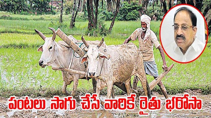 Rythu Bharosa: పంటలు సాగు చేసే వారికే రైతు భరోసా | Telangana-govt-is ...