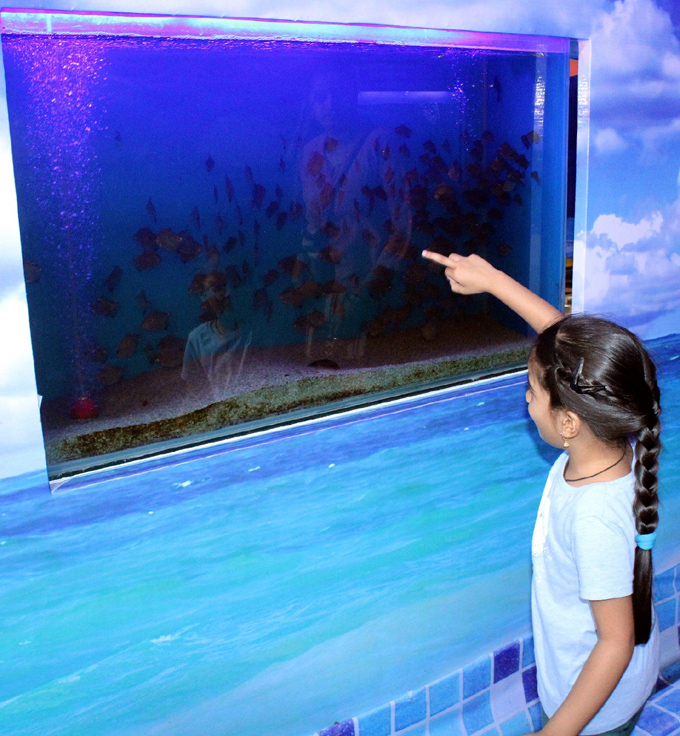 Tunnel Aquarium ఆకట్టుకుంటున్న అండర్ వాటర్ టన్నెల్‌ అక్వేరియం
