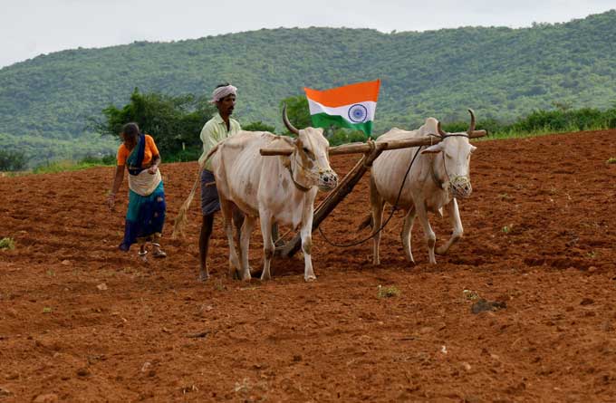 స్వాతంత్ర్య భారత వజ్రోత్సవాల స్ఫూర్తి ఊరూరా వెల్లివిరుస్తోంది. హర్ ఘర్ తిరంగా కార్యక్రమంలో భాగంగా కేంద్ర, రాష్ట్ర ప్రభుత్వాలు జాతీయ జెండాలను పంపిణీ చేస్తున్నాయి. అలా రంగారెడ్డి జిల్లా యాచారం మండలంలో ఓ రైతుకు జెండా అందజేయగా.. ఆయన తన ఎద్దుల కాడికి దాన్ని కట్టుకొని భార్యతో కలిసి పొలంలో విత్తనాలు నాటే పనిలో నిమగ్నమైన చిత్రమిది.