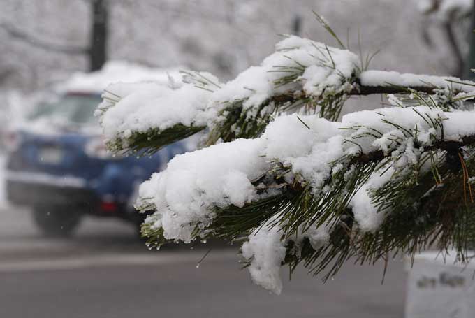Snowstorm : అమెరికాలో మంచు తుపాను బీభత్సం | Snowstorm at colorado in ...