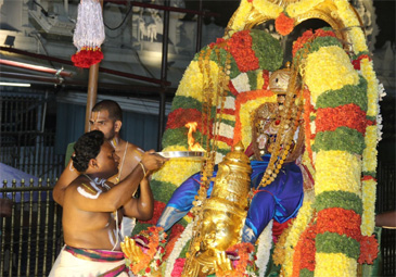 Tirumala: వైభవంగా ఆషాఢ మాస గురు పౌర్ణమి గరుడ సేవ