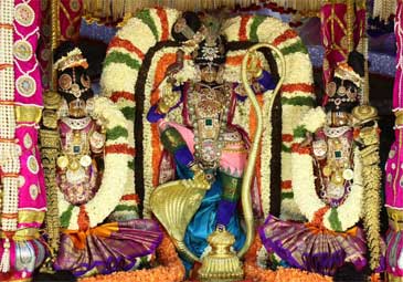 Tirumala: ముత్యపు పందిరి వాహనంపై దర్శనమిచ్చిన శ్రీవారు