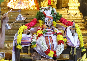 Srikalahasti: శ్రీకాళహస్తీశ్వర ఆలయంలో ప్రారంభమైన పవిత్రోత్సవాలు