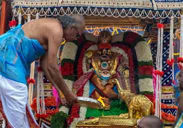 Tiruchanur: ముత్యపు పందిరిపై అభయమిచ్చిన శ్రీపద్మావతి అమ్మవారు.. ఫొటోలు