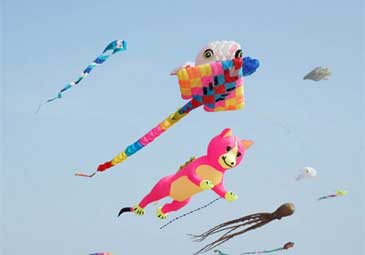 Kites: కరావళి తీర ప్రాంతాల్లో గాలిపటాల కనువిందు