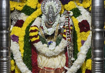 Vasant panchami:  సికింద్రాబాద్‌లోని  జ్ఞానసరస్వతి ఆలయంలో  వసంత పంచమి వేడుకలు