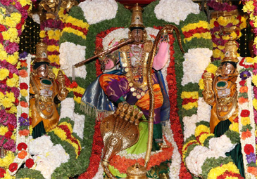 Brahmotsavalu : స‌ర్వభూపాల‌ వాహనంపై విహరించిన శ్రీనివాసుడు