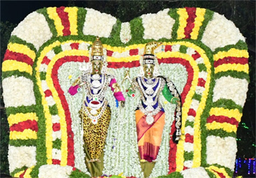 Srisaliam: శ్రీశైలంలో ఘనంగా శివరాత్రి బ్రహ్మోత్సవాలు