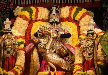 Hyderabad: ఘనంగా  వేంకటేశ్వర స్వామి బ్రహ్మోత్సవాలు