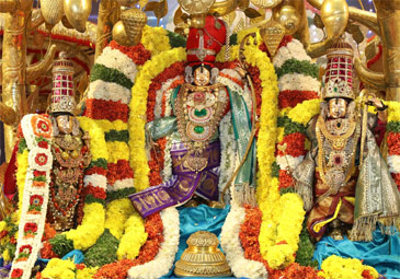 Tirupati : కల్పవృక్ష వాహనంపై భక్తులకు దర్శనమిచ్చిన  శ్రీ కోదండరామస్వామి