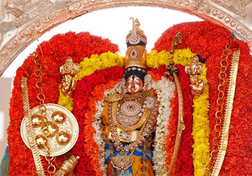 Tirupati: సూర్యప్రభ వాహనంపై భక్తులకు ఎదురొచ్చిన  శ్రీ కోదండరామస్వామి