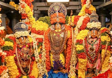 tirumala: వైభవంగా శ్రీ కోదండరామస్వామికి రథోత్సవం