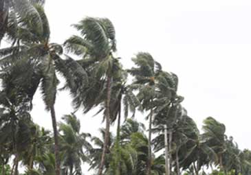 Cyclone Asani : కాకినాడలో ‘అసని’ బీభత్సం