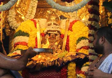 Swarnaratham : శ్రీ పద్మావతి అమ్మవారి స్వర్ణ రథోత్సవం