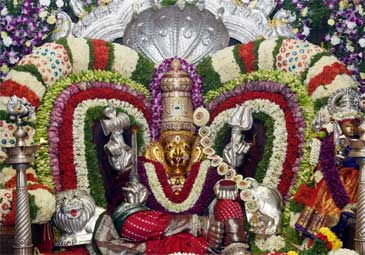 Tirupati : అంగరంగ వైభవంగా గంగ జాతర
