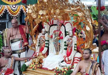 Tirumala: కల్పవృక్ష వాహనంపై శ్రీవారి అభయం