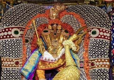 Tiruchanoor : ముత్యపు పందిరి వాహనంపై అలమేలు మంగ