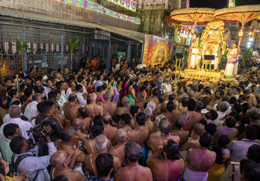 Tiruchanoor :  పద్మావతి అమ్మవారికి గజవాహన సేవ