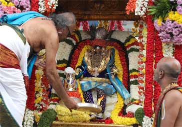 Tiruchanoor : సర్వభూపాల వాహనంపై పద్మావతి అమ్మవారు
