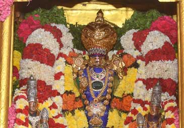Nellore: నెల్లూరు తల్పగిరి రంగనాథస్వామి రథోత్సవం