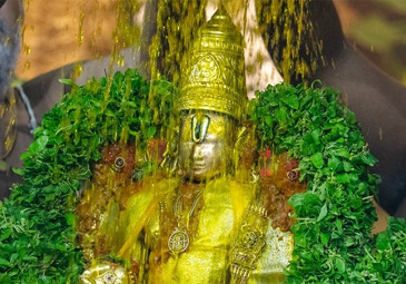TTD: తిరుమల శ్రీవారి ఆలయంలో ఘనంగా వసంతోత్సవం