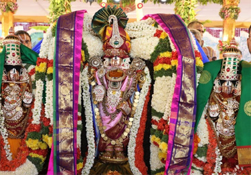 Tirumala: వైభవంగా ప్రారంభమైన పద్మావతి పరిణయోత్సవం