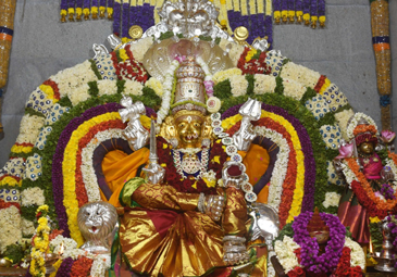 Tirupati: ఘనంగా తాతయ్య గుంట గంగమ్మ జాతర
